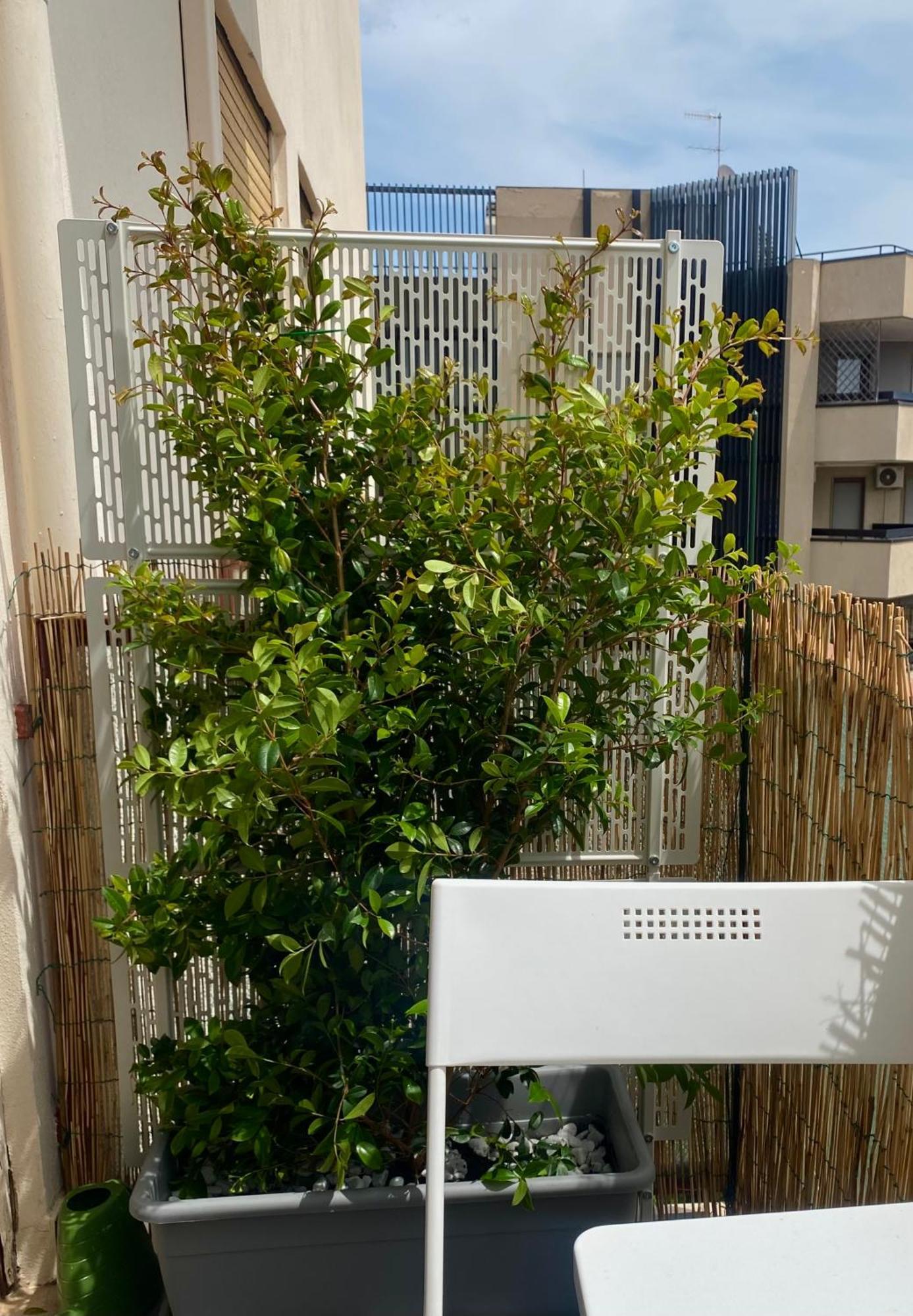 Via Roma a un passo dalle università! Sassari Esterno foto
